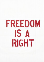 Obraz premium Freedom is a right text on a white background celebrating Human Rights Day 