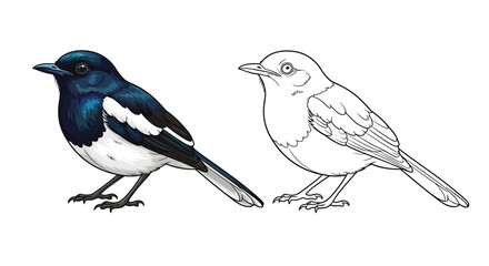 Fototapeta premium Oriental Magpie Robin Coloring Page with Realistic and Outline Birds for Study