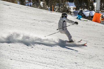 female_skier
