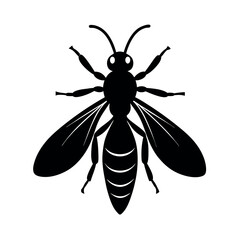 Checkered Beetle Insect Silhouette Vector Illustration