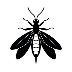 Drugstore Beetle Insect Silhouette Vector Illustration