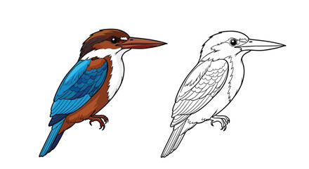 Obraz premium White Throated Kingfisher Coloring Page with Colored and Outline Birds for Art