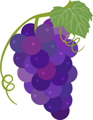 포도