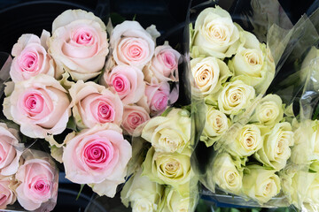 Yellow and Pink Roses at a Florist Shop
