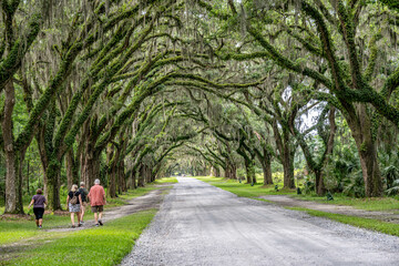 wormsloe historic site, savannah, georgia