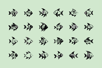 Silver Dollar, aquarium fish vector art illustration
