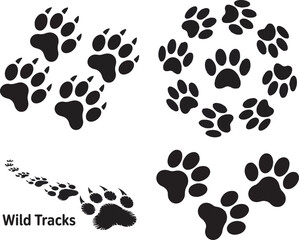 Fototapeta premium Collection of wild animal footprints featuring paw prints and tracks in black and white