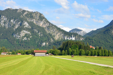 Medieval castle Neuschwanstein in the Bavarian Alps above the village of Hohenschwangau near Fuessen, in summer, Bavaria, Germany, blue sky, rural landscape and pasture