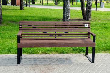 Empty Wooden Bench in a Park Surrounded by Greenery