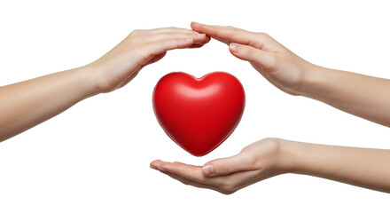 Fototapeta premium Heart health care protection love and support hands holding red heart cardiology medical concept on a transparent background