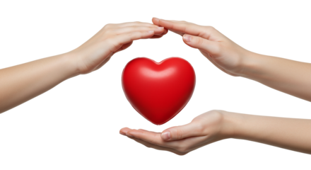 Heart health care protection love and support hands holding red heart cardiology medical concept on a transparent background
