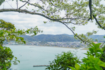 日本の風景【千葉県南房総市】大房自然公園方面から見た富浦湾(原岡海岸)
