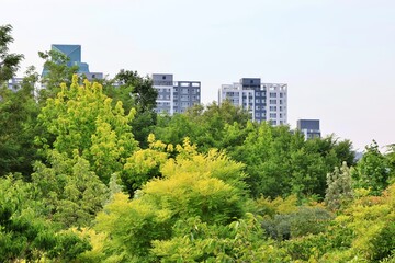 Fototapeta premium 도심 고층 아파트와 공원 풍경