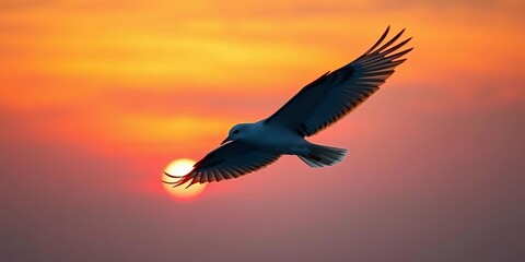Fototapeta premium Single bird in dynamic flight, wings outstretched against a serene sunset sky, creative, golden hour