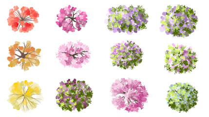 Vertor set of spring blossom tree,bloomimg plants top view for landscape plan,schematic layout,eco environment concept design,watercolor sakura illustration