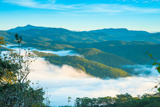 Sea of clouds floating above pine forests in Cau Dat, Da Lat, Vietnam.