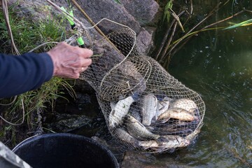 Fishing on the Dnieper. The process of fishing with a spinning rod. Fishing.