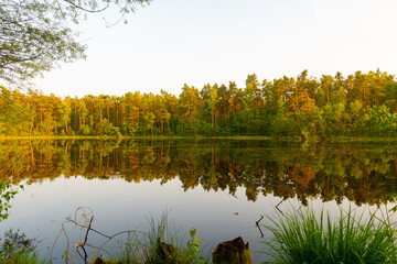 staw © Mariusz