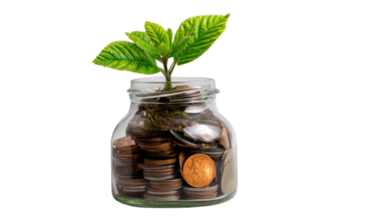 Growth in a Glass Jar: A visual metaphor for financial investment and growth, a thriving sprout emerges from a glass jar filled with coins, symbolizing prosperity and nurturing of savings
