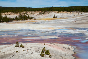 Norris geyser basin