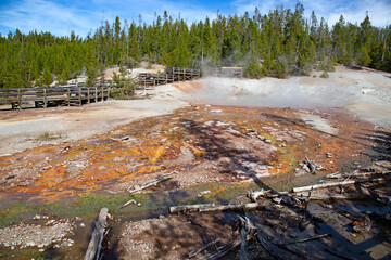 Norris geyser basin