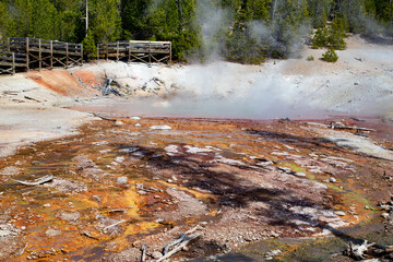 Norris geyser basin