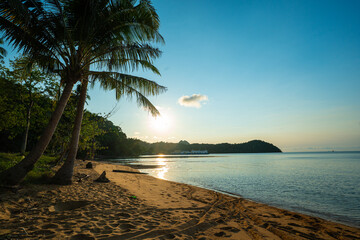 Sea sand beach coconut palm tropical forest blue sky cloud