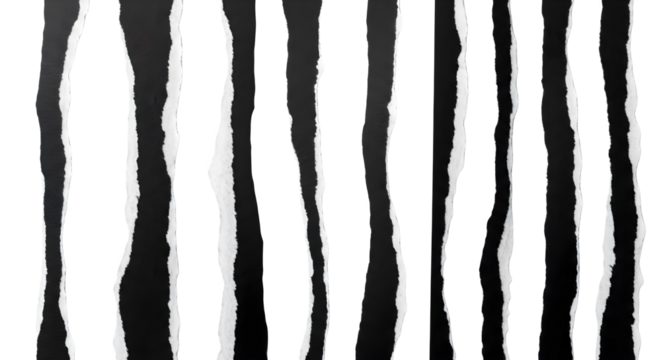 A grayscale image showing several vertical torn paper strips against black background isolated on white background, tarensparent background, png, jpg,jpeg,  on transparent background - Powered by Adobe