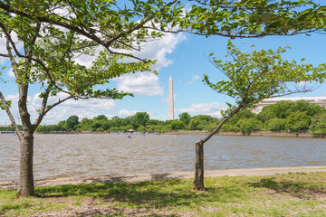 Washington Monument across Tidal Basin framed by trees in Washington D.C.