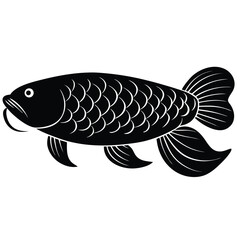arowana vector
