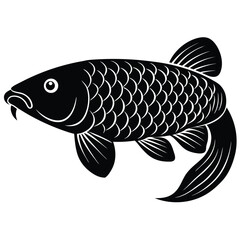 arowana vector