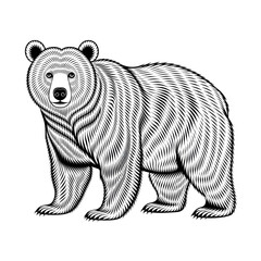 A bear illustration line art of a coloring page 