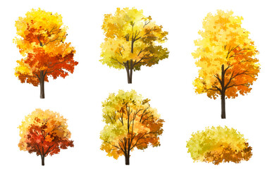 Vertor set of autumn tree,plants side view for landscape elevation and section,eco environment concept design,watercolor ginkgo tree illustration,colorfull