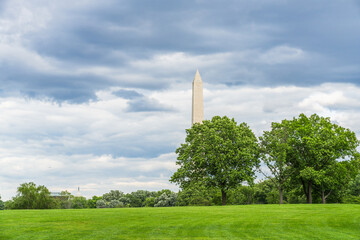 Obraz premium Washington Monument peeks above green trees under cloudy sky.