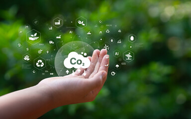 Sustainability and Green Business, Globe in Hand, Carbon Reduction, CO2 Concept, Net Carbon Emission Target
