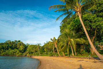 Sea sand beach coconut palm tropical forest blue sky cloud