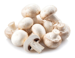 Fresh white button mushrooms close up pile