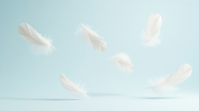 Airborne Feathers. Bird feathers floating in the air, Feather abstract freedom on a blue background.  - Powered by Adobe