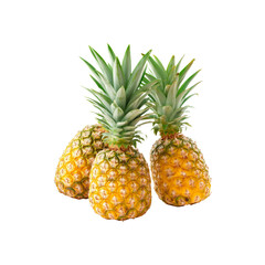 Fototapeta premium Tropical Bounty: A close-up captures three vibrantly ripe pineapples. Each pineapple presents its unique texture and hue, promising a burst of fresh, tropical flavor.