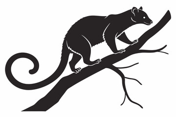 kinkajou sihouette black vector