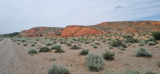 Red rocls in desert landscape