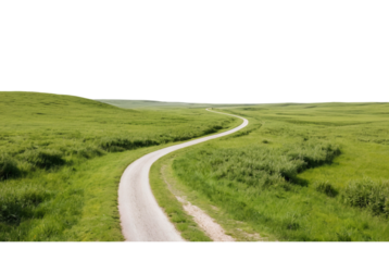 Road through grassfield golden light