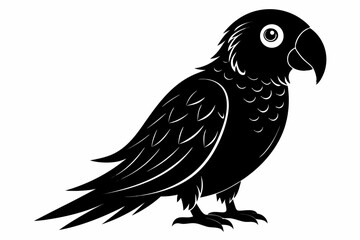 parrot sihouette black vector