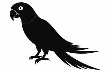 parrot sihouette black vector