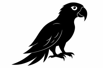 Fototapeta premium parrot sihouette black vector