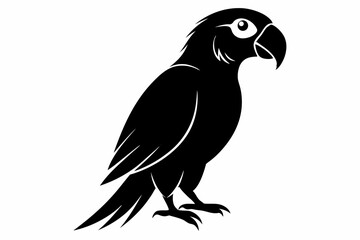 Fototapeta premium parrot sihouette black vector