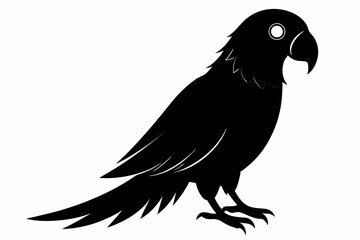 parrot sihouette black vector