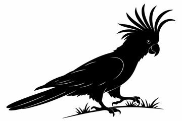 cockatoo sihouette black vector