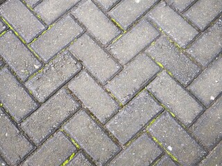 Rectangular gray concrete tiles are arranged in a herringbone pattern on the sidewalk.