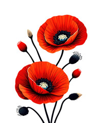 Obraz premium Red poppy flowers on white background, remembrance symbol, Memorial Day tribute, botanical illustration, floral design, war commemoration